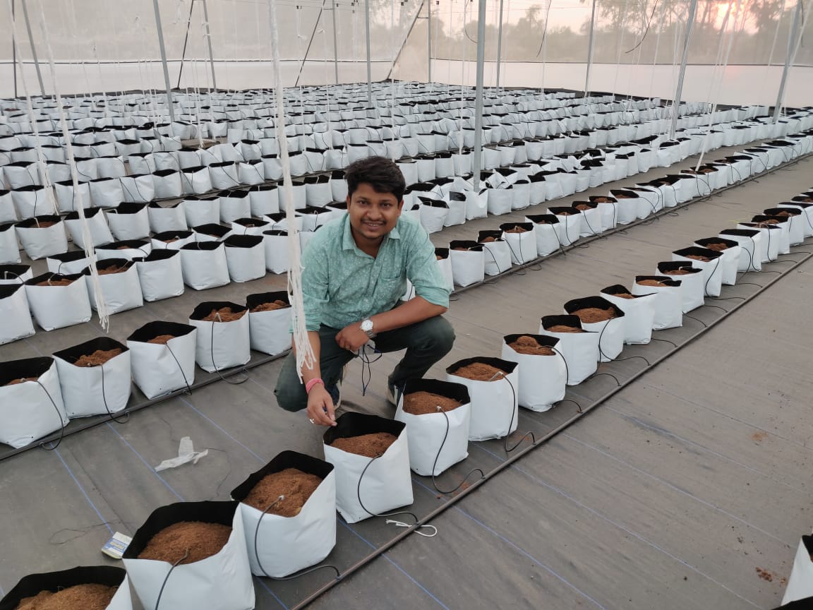 Agriculture Cocopeat Grow Bag for Hydroponics - China Cocopeat, Hydroponic  Cocopeat | Made-in-China.com