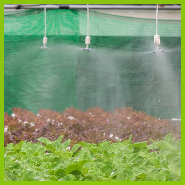 Hydroponics Farming