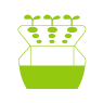 Hydroponic System