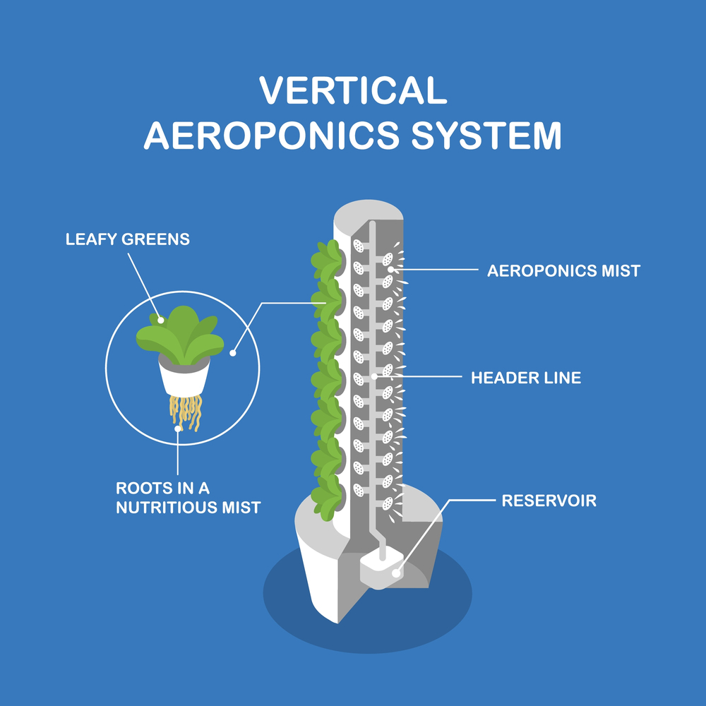 Vertical Aeroponics System