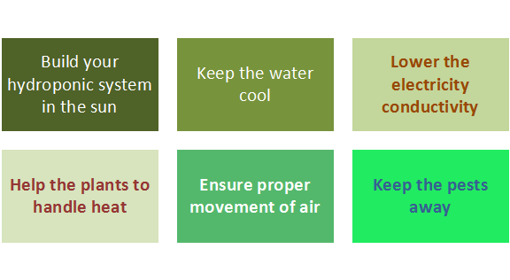 Hydroponic Agriculture