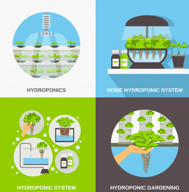 Hydroponic Agriculture