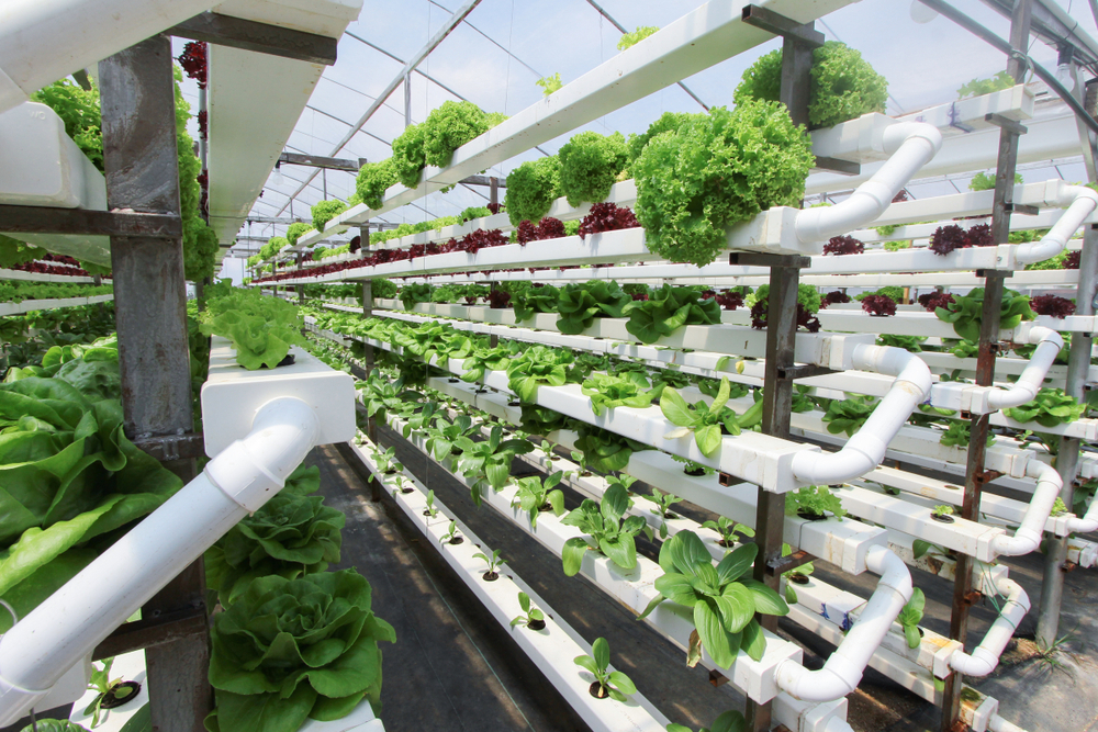 Vertical Farming