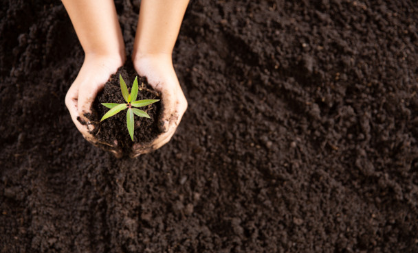 black cotton soil