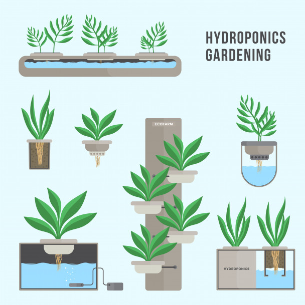 hydroponic system