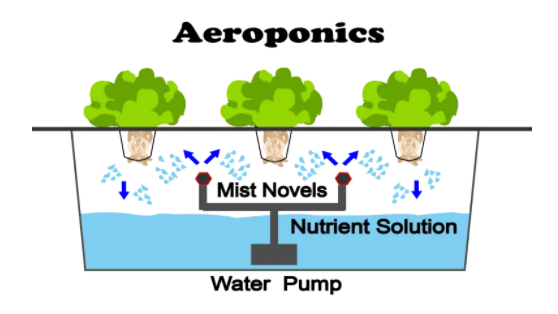Aeroponics System