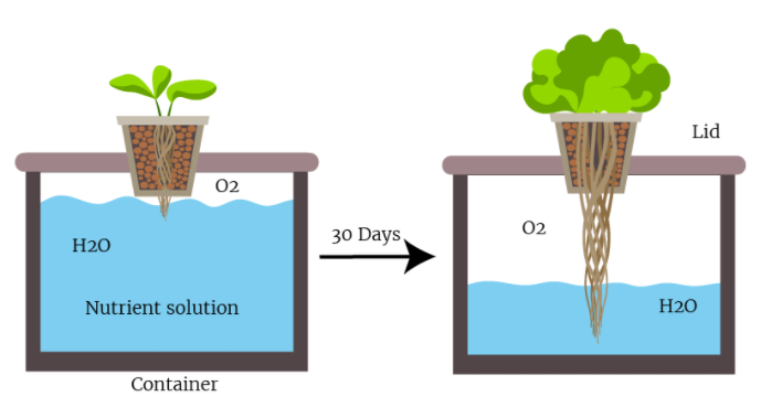 Kratky Method