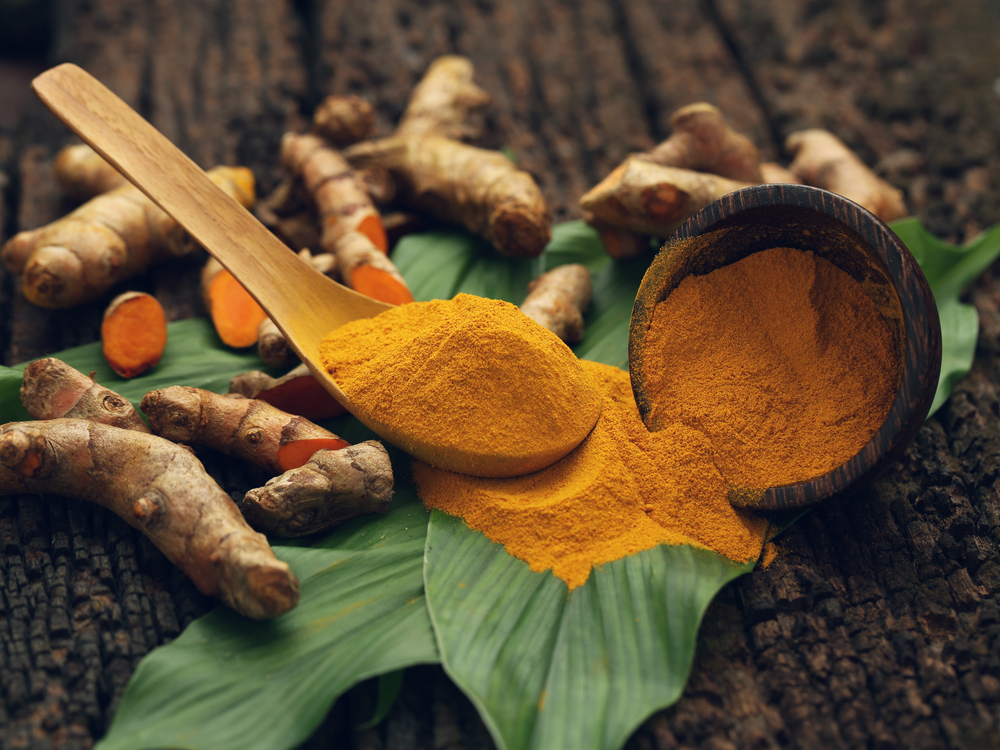 Why Grow Turmeric Hydroponically