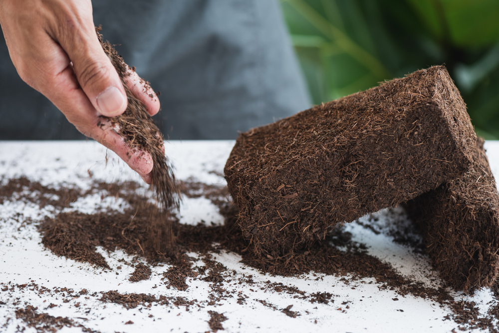 coco peat brick