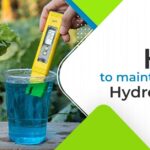 How to maintain PH in Hydroponics