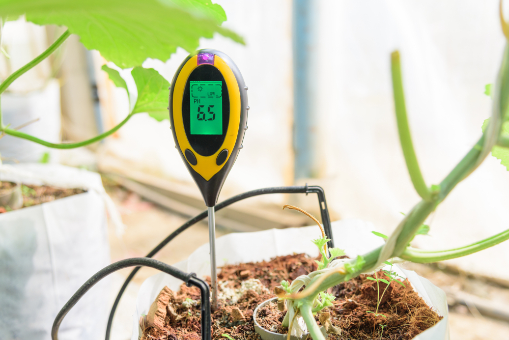 Managing PH Levels In Your Indoor Hydroponic Herb Garden